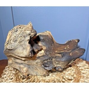 Natural Driftwood Sculpture 12" Organic Wood Decor‎ Coffee Table Shelf Art Terra